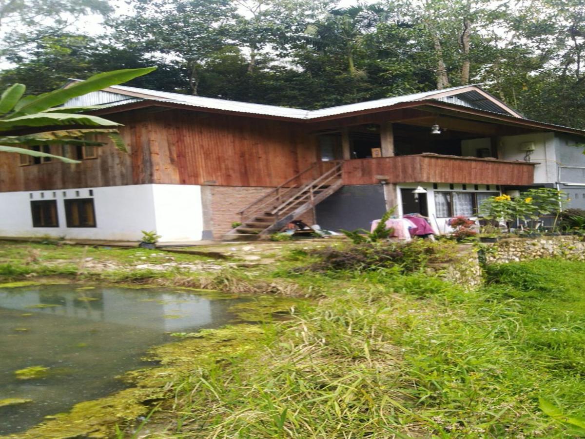 Wisma Papa Tia Toraja Tana Toraja 외부 사진